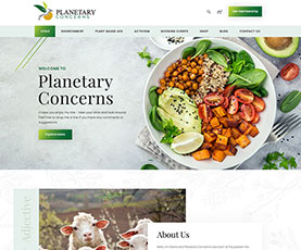 custom-website-design-11