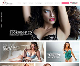 custom-website-design-6