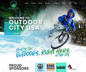 custom-website-design-9